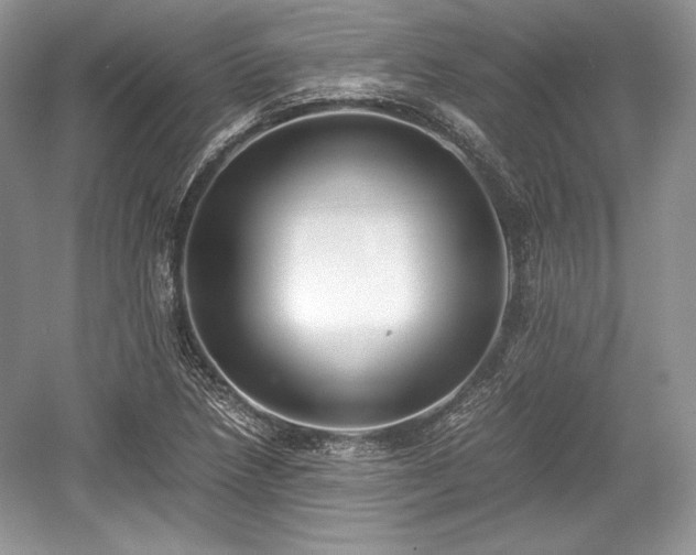 X0000059091218200510101136