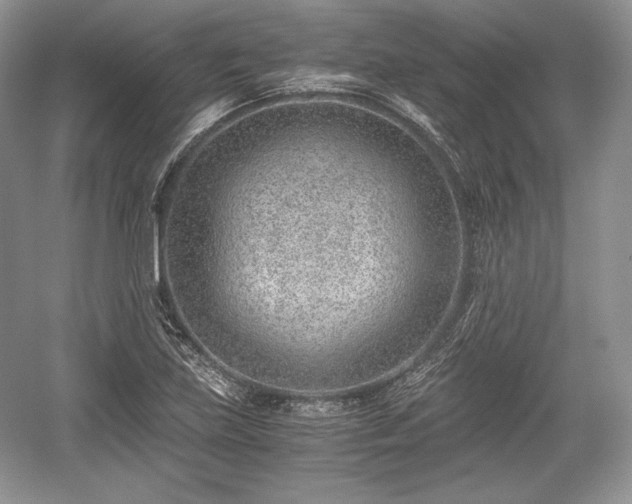 X0000059091219200510101136