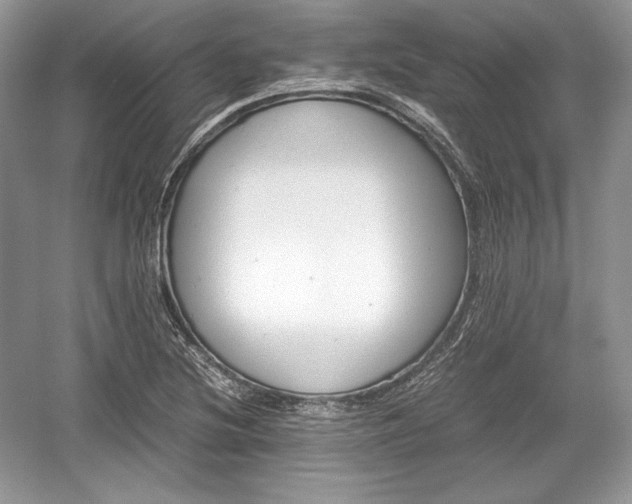 X0000059091220200510101136