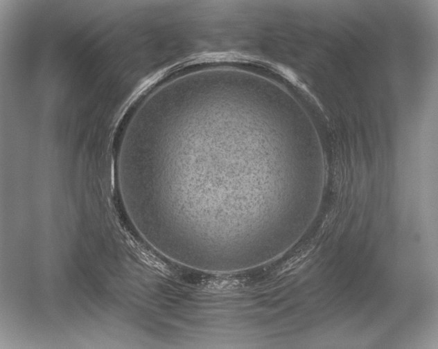 X0000059091221200510101136