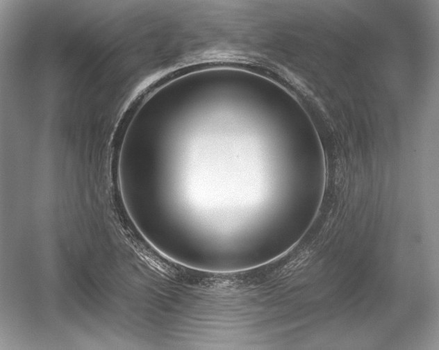 X0000059091222200510101136