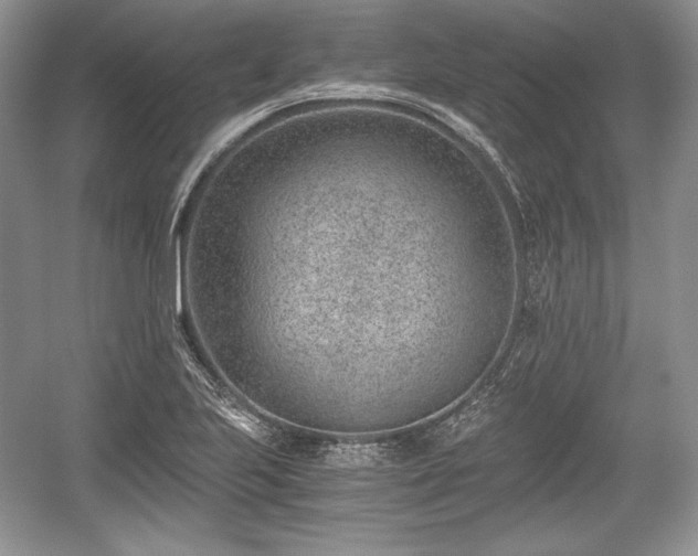 X0000059091223200510101136