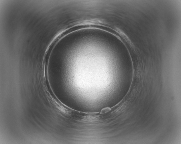 X0000059091224200510101136