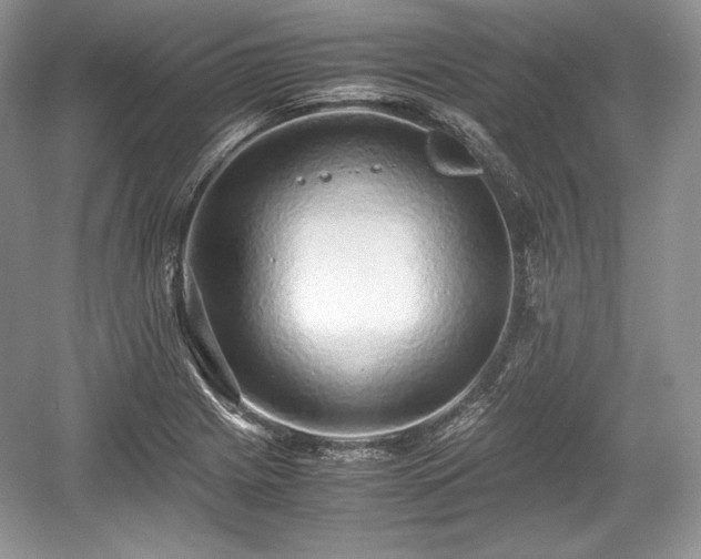 X0000059091225200510101136