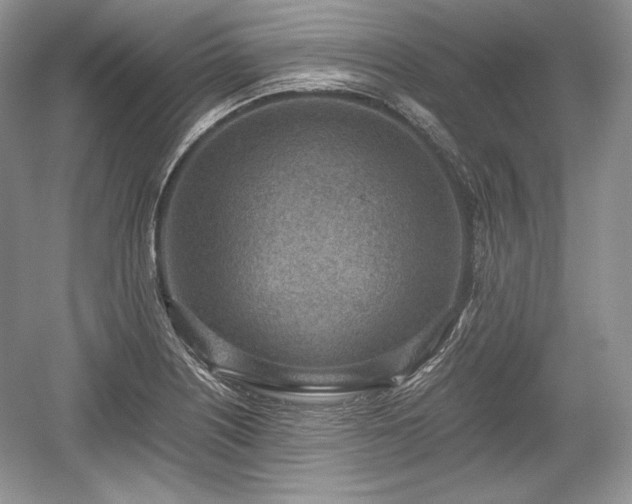 X0000059091226200510101136