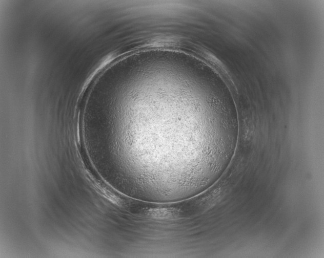 X0000059091227200510101136