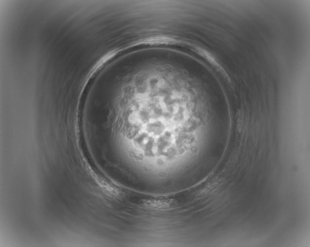 X0000059091229200510101136