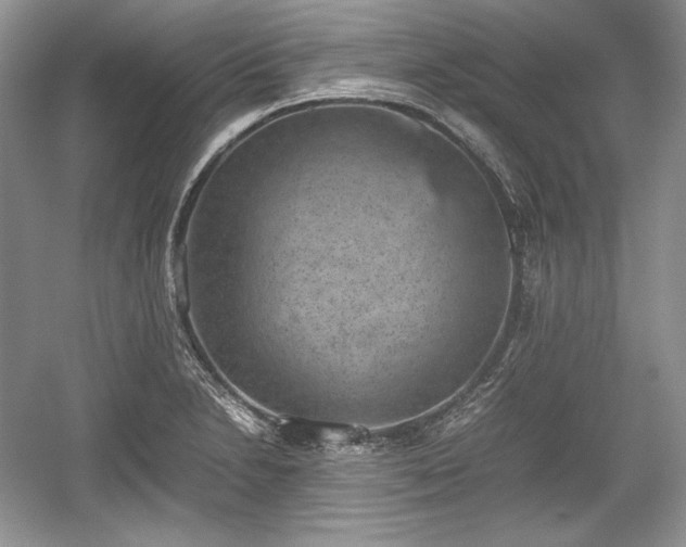 X0000059091230200510101136