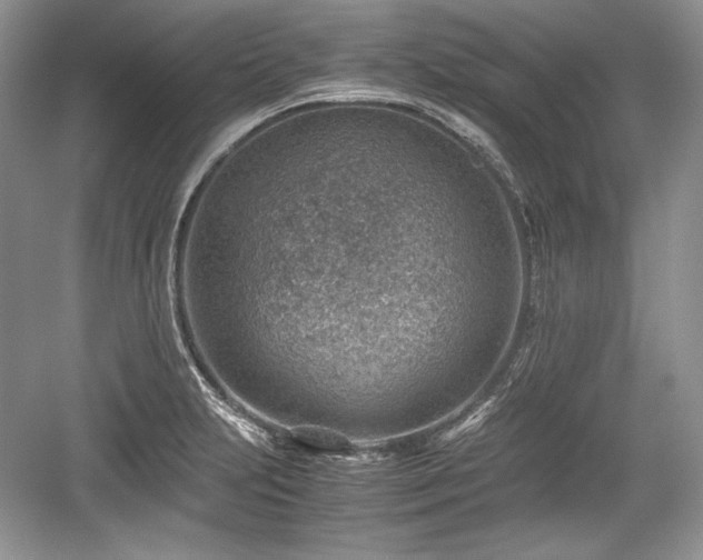 X0000059091231200510101136