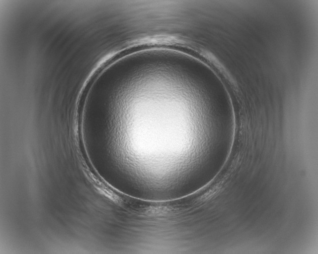 X0000059091232200510101136