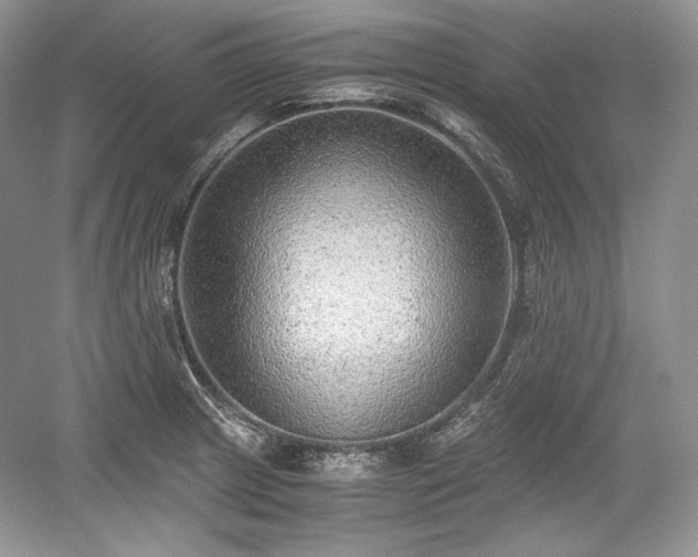 X0000059091233200510101136