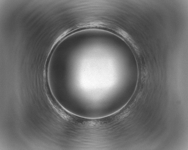 X0000059091234200510101136