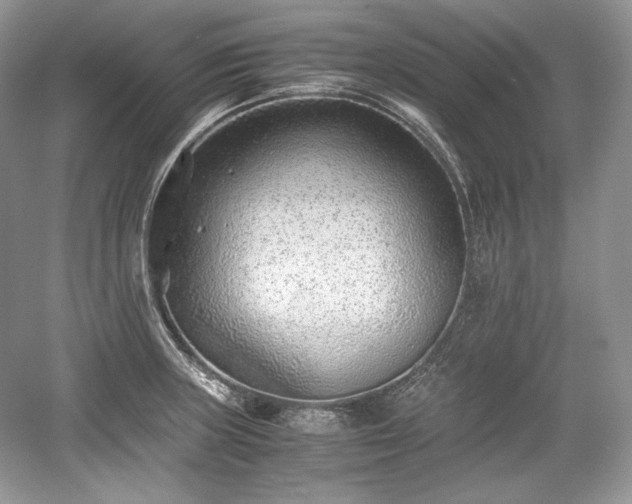 X0000059091235200510101136