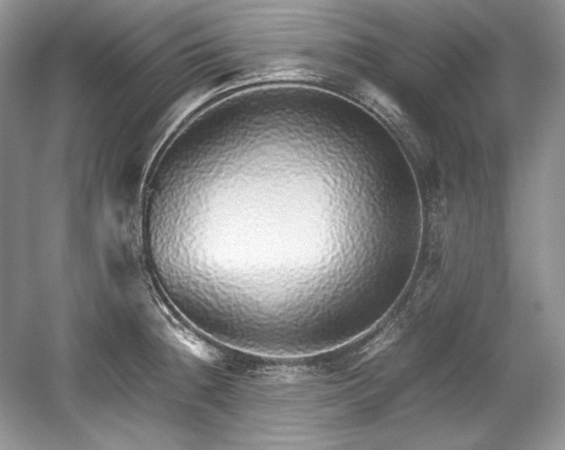 X0000059091236200510101136