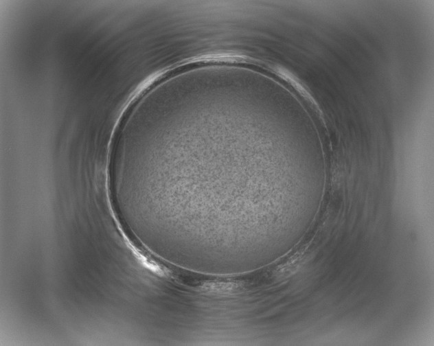 X0000059091237200510101136