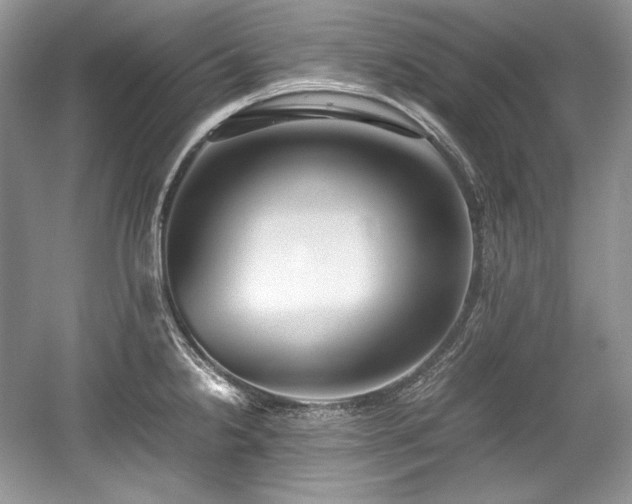 X0000059091238200510101136