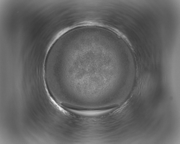 X0000059091239200510101136