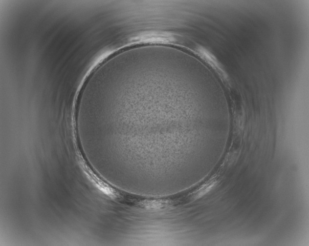 X0000059091240200510101136