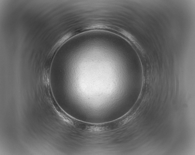 X0000059091241200510101136