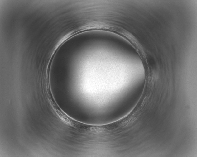 X0000059091242200510101136