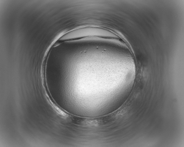 X0000059091243200510101136