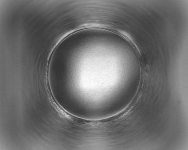 X0000059091244200510101136