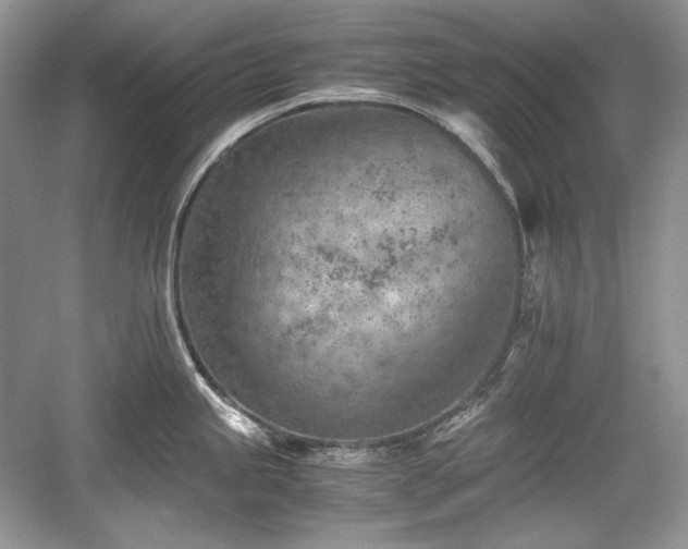 X0000059091245200510101136