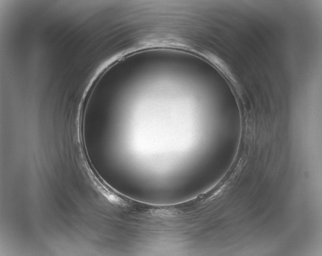 X0000059091246200510101136