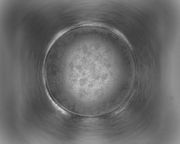 X0000059091247200510101136