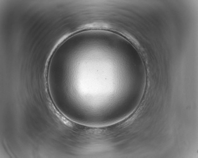 X0000059091248200510101136