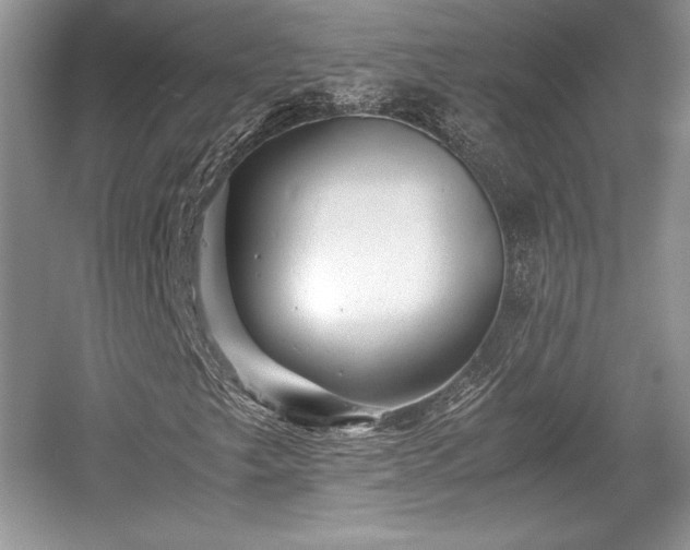 X0000059091249200510101135