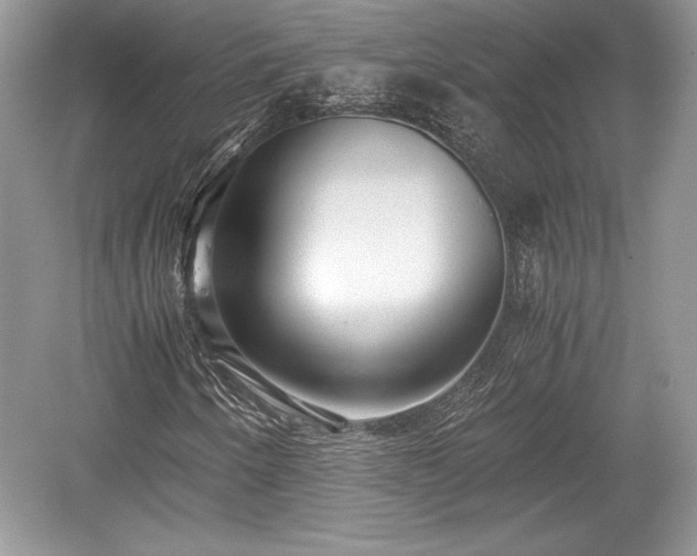 X0000059091250200510101135