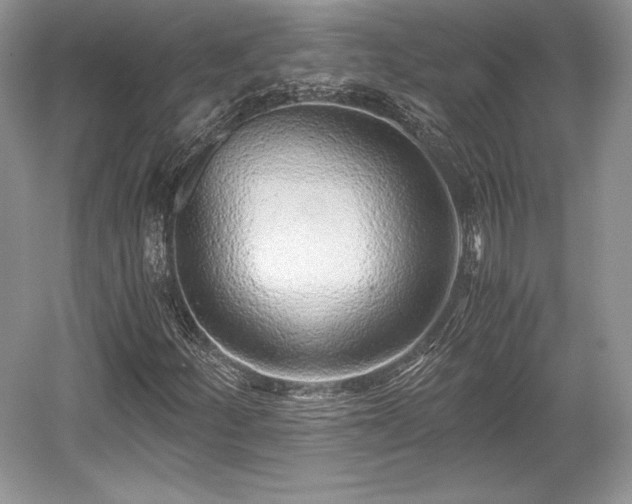 X0000059091252200510101135