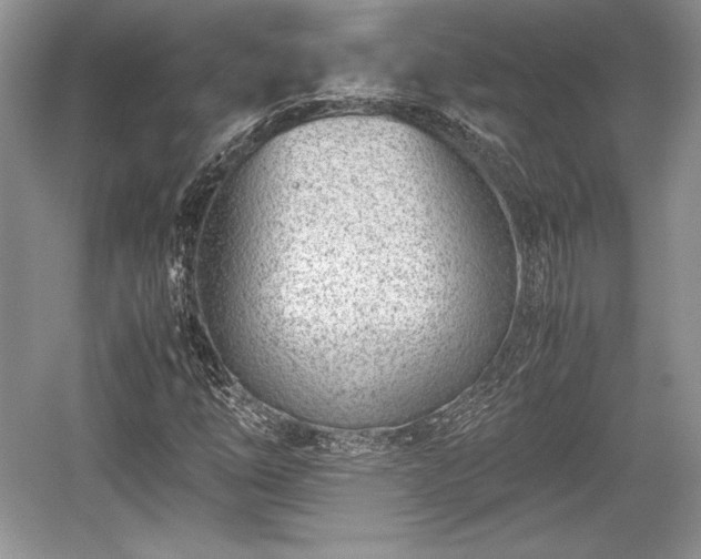 X0000059091254200510101135