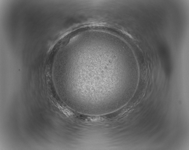 X0000059091255200510101135