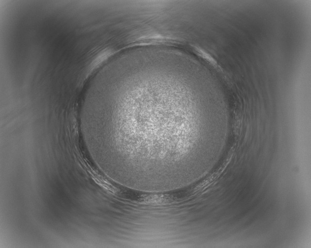 X0000059091259200510101135