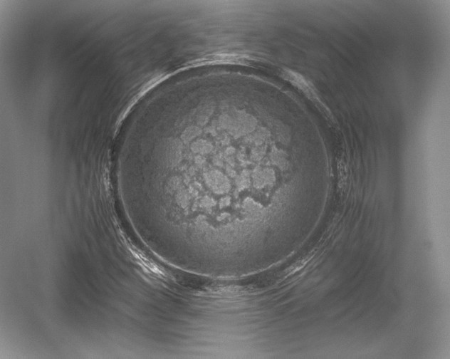 X0000059091260200510101135