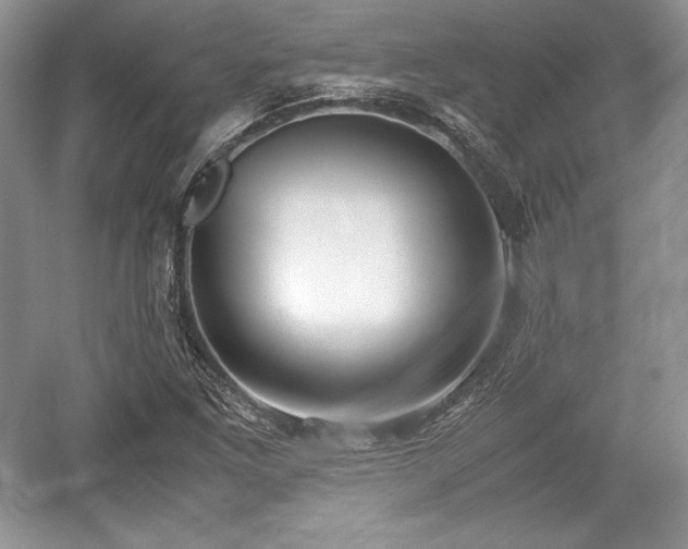 X0000059091261200510101135