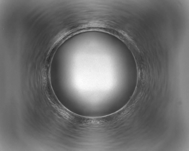 X0000059091266200510101135