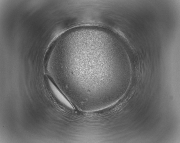 X0000059091267200510101135