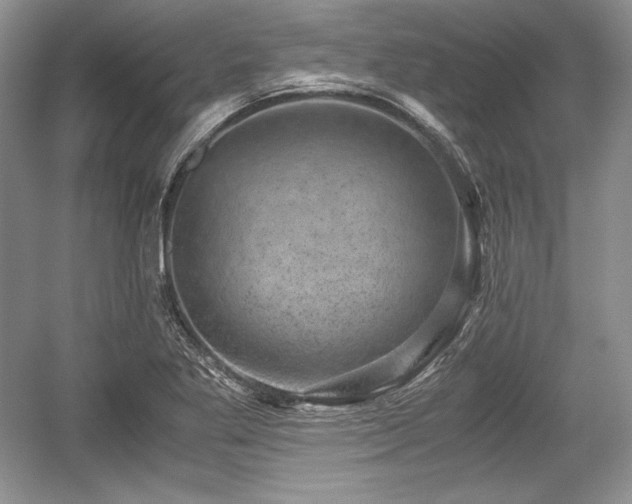 X0000059091269200510101135