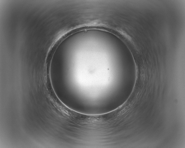 X0000059091270200510101135