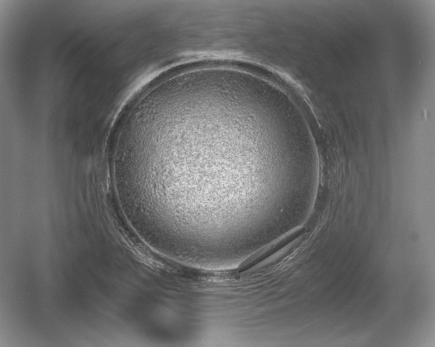 X0000059091271200510101135