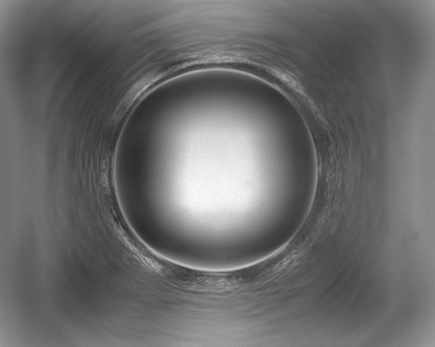 X0000059091273200510101135