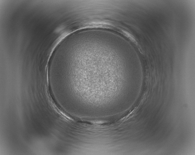 X0000059091275200510101135