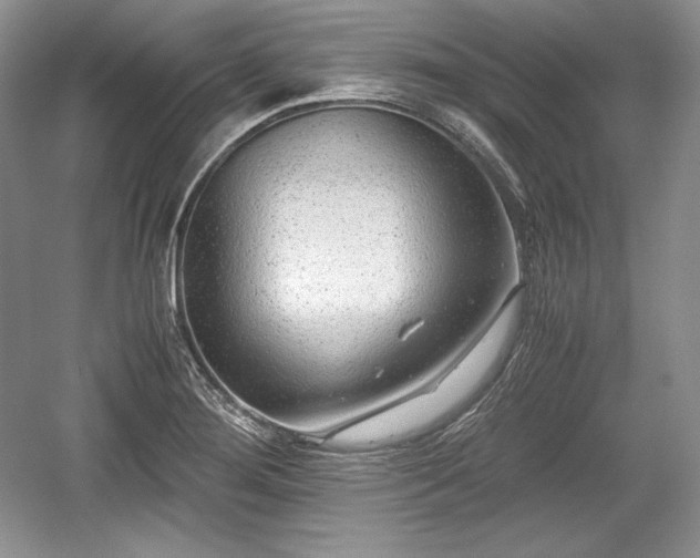 X0000059091276200510101135