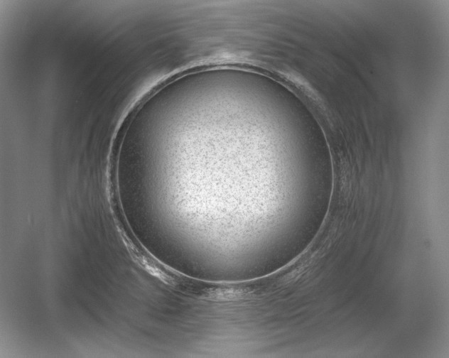 X0000059091278200510101135