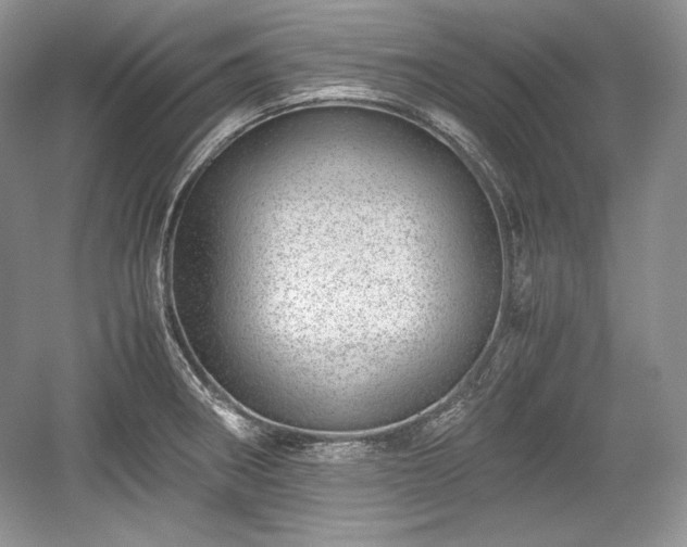 X0000059091282200510101135