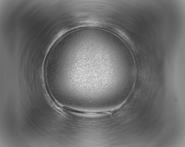 X0000059091283200510101135