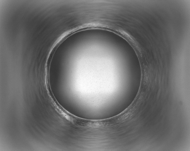 X0000059091286200510101135